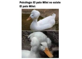 Esta es la selección de memes de la semana