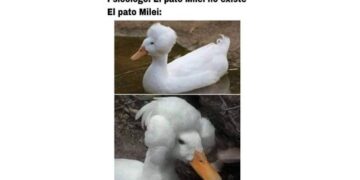 Esta es la selección de memes de la semana