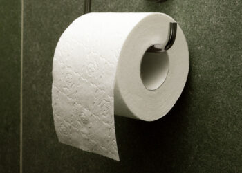 Diputado mexicano sesionó desde el baño y se olvidó de apagar la cámara