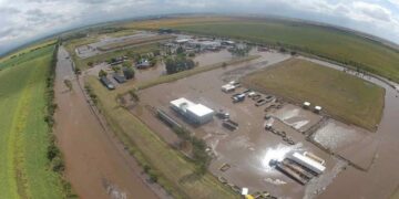 Taym: apelaron la resolución del juez Lasso