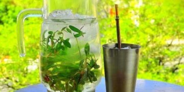 Impensada crisis diplomática por el tereré entre Paraguay y Bolivia