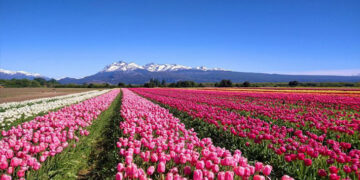 Tres pueblos argentinos compiten para ser de los mejores del mundo