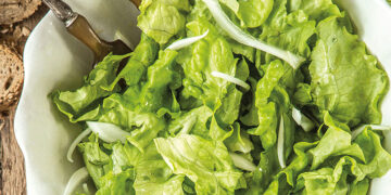 ¿Cuál es la edad en la que pueden comer lechuga los niños?