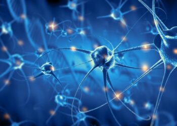 Convierten células de la piel en neuronas para estudiar la epilepsia