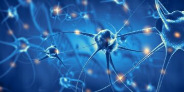 Convierten células de la piel en neuronas para estudiar la epilepsia