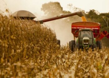 Bajan retenciones de productos ecológicos en vías de fortalecer las economías regionales