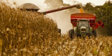 Bajan retenciones de productos ecológicos en vías de fortalecer las economías regionales