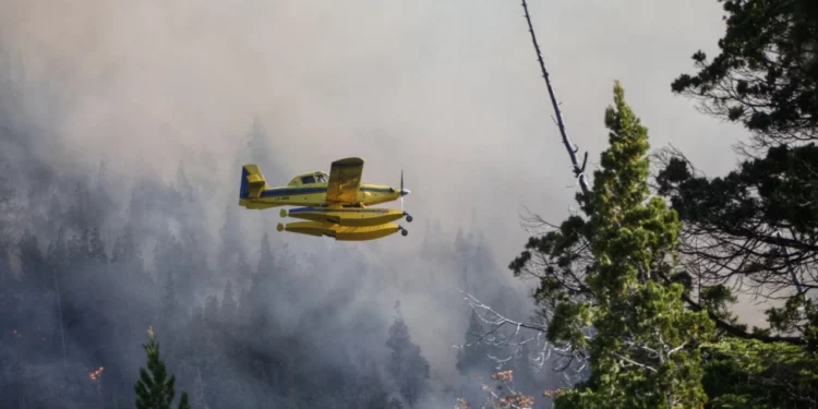 Se incendia la Patagonia: bomberos luchan contra focos activos en Río Negro, Neuquén y Chubut