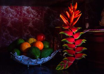 Recorridos artísticos