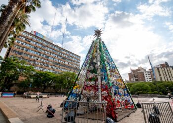 Hoy se enciende el árbol de navidad 100% reciclable