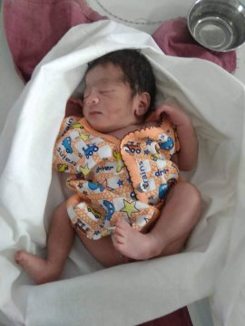 Una perra adoptó a una beba recién nacida que había sido abandonada y le salvó la vida