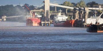 El nivel de exportaciones caerá en 2022, pero estará entre los mejores de los últimos 20 años