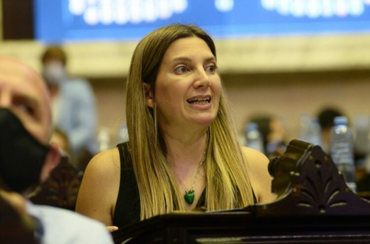 Nueva justa en Diputados por Bienes Personales