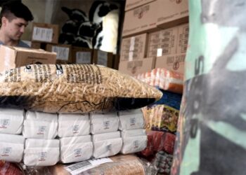 El valor de la Canasta Básica Alimentaria subió 2,6 % en noviembre