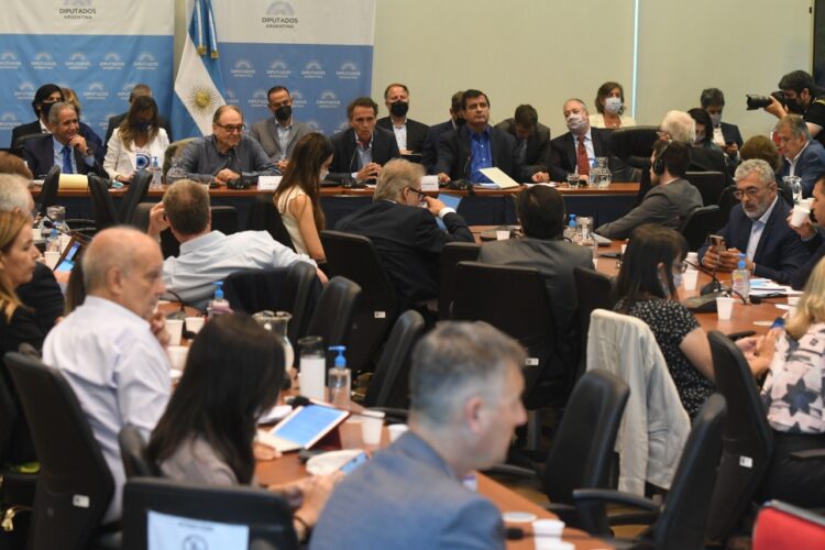 La "ley de leyes" promete álgidas discusiones hoy y mañana en Diputados
