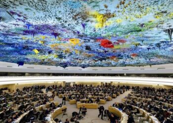 ONU: Argentina presidirá el Consejo de DD.HH.