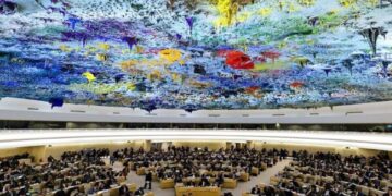ONU: Argentina presidirá el Consejo de DD.HH.