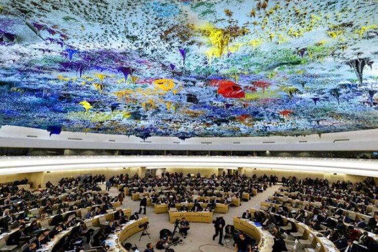 ONU: Argentina presidirá el Consejo de DD.HH.