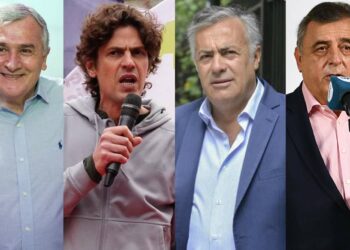 En medio de fuertes peleas, la UCR renueva sus autoridades