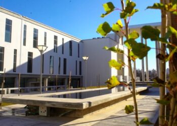 La Justicia aplicó lenguaje claro en un fallo por paternidad