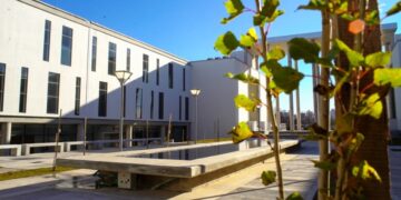 La Justicia aplicó lenguaje claro en un fallo por paternidad