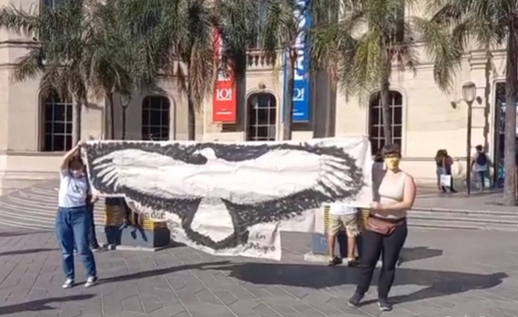 Rebelión o extinción