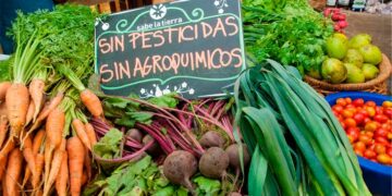 Potencian la producción orgánica para el consumo y la exportación