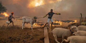 Un 2021 que empezó con gran expectativa y finaliza con pronósticos poco optimistas