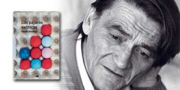 Aquí anochece de golpe