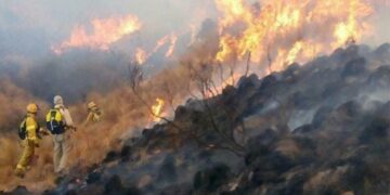 Condenaron al autor de un incendio que dañó 40.000 hectáreas en Ischilín