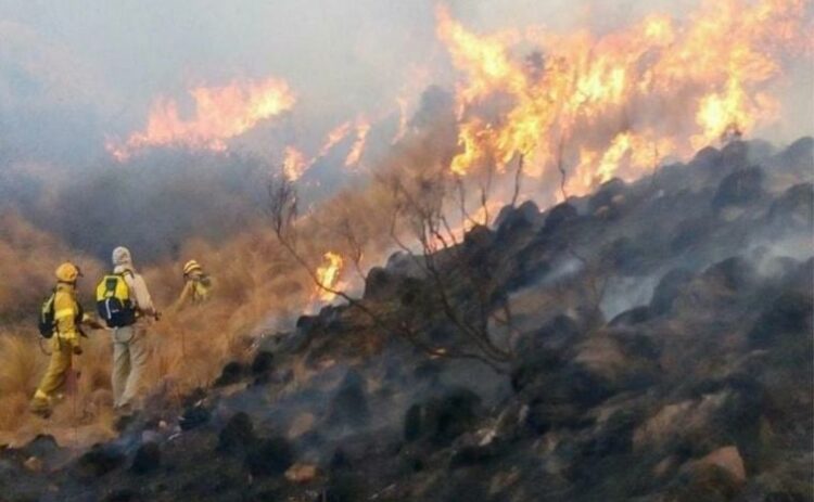 Condenaron al autor de un incendio que dañó 40.000 hectáreas en Ischilín