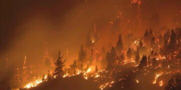 Declararon la emergencia ígnea en todo el territorio nacional por un año