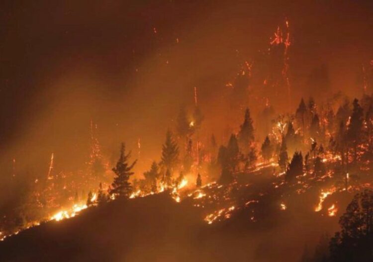 Declararon la emergencia ígnea en todo el territorio nacional por un año