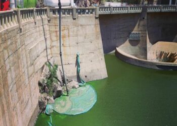 El color verde fluorescente del agua del San Roque vuelve a ser noticia