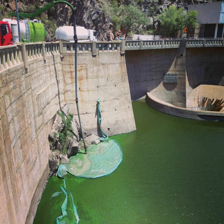 El color verde fluorescente del agua del San Roque vuelve a ser noticia