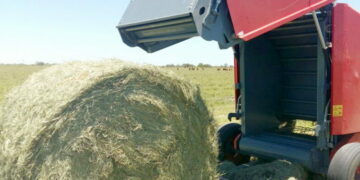 Bancos públicos destinarán $ 100.000 millones para ampliar la producción agropecuaria