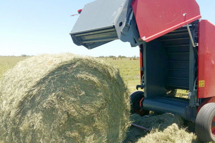 Bancos públicos destinarán $ 100.000 millones para ampliar la producción agropecuaria Bancos públicos destinarán $ 100.000 millones para ampliar la producción agropecuaria