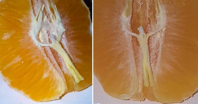 Jesús se le apareció en una mandarina, subió las fotos y se hicieron viales