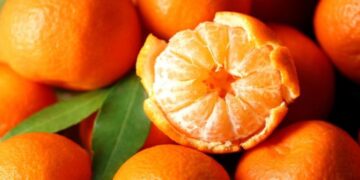 Jesús se le apareció en una mandarina, subió las fotos y se hicieron viales