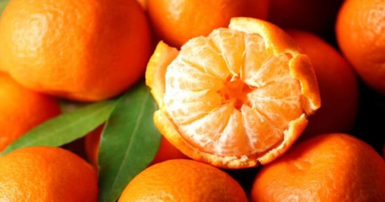 Jesús se le apareció en una mandarina, subió las fotos y se hicieron viales