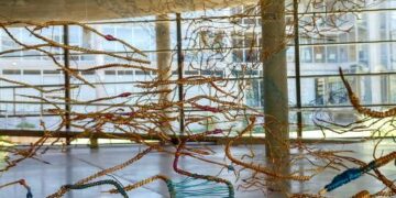 Durante el verano se podrá realizar visitas a dos observatorios de la ciudad