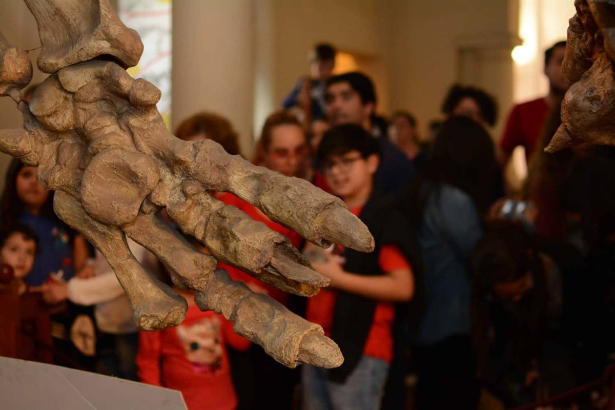 Llega una nueva edición de la Noche de los Museos en Córdoba La noche de los Museos en Córdoba