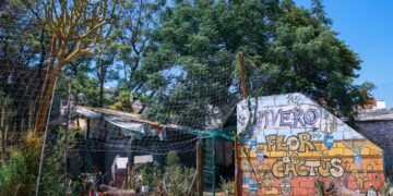 La salud mental cordobesa: entre la pandemia, las urgencias y las voluntades sociales