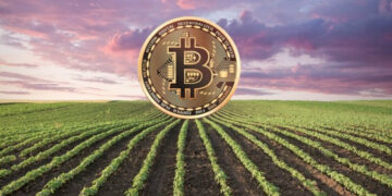 Argentina levanta su perfil en el mundo cripto