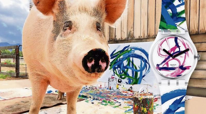 “Pigcasso” la cerdita pintora que vendió un cuadro en US$ 27.000