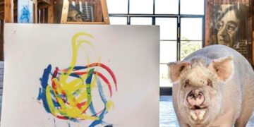 “Pigcasso” la cerdita pintora que vendió un cuadro en US$ 27.000