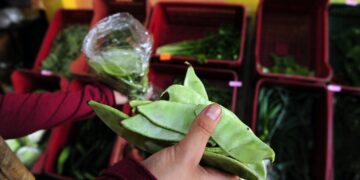 La producción orgánica argentina y su potencial de crecimiento