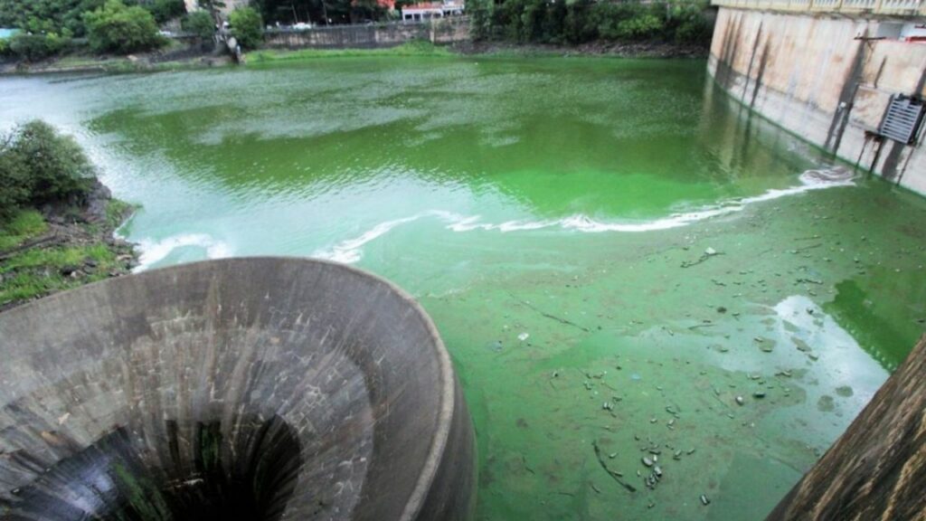 Con un estado crítico, preocupa la salud del lago San Roque