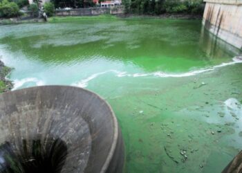 Con un estado crítico, preocupa la salud del lago San Roque