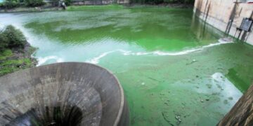 Con un estado crítico, preocupa la salud del lago San Roque